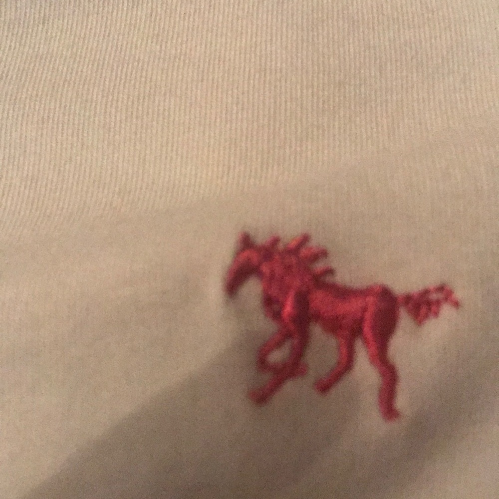 Shirt - Picture 2 of 2